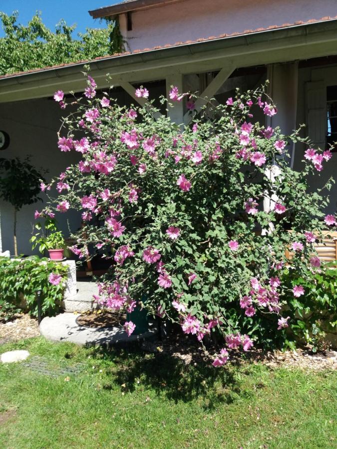 Les Eygletieres Bed & Breakfast Bourriot-Bergonce Екстериор снимка