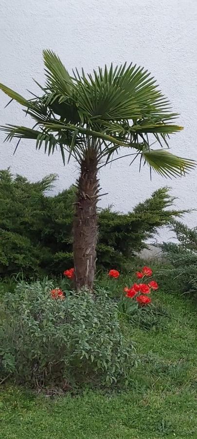 Les Eygletieres Bed & Breakfast Bourriot-Bergonce Екстериор снимка