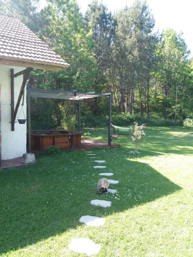 Les Eygletieres Bed & Breakfast Bourriot-Bergonce Екстериор снимка